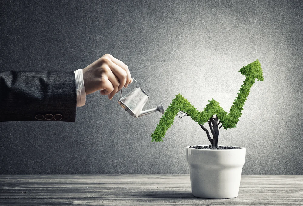 Profit from the project
